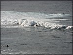 IMG_2363.jpg