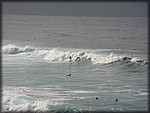 IMG_2364.jpg