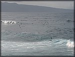 IMG_2365.jpg