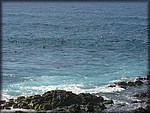 IMG_2366.jpg