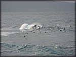 IMG_2368.jpg