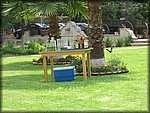 IMG_4662.jpg