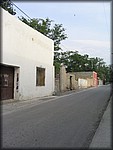 IMG_4699.jpg