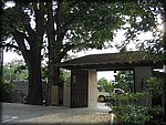 IMG_4705.jpg