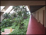 IMG_3626.jpg