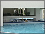 IMG_3631.jpg