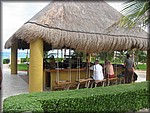 IMG_3635.jpg