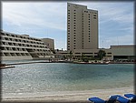 IMG_3642.jpg