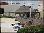 IMG_3670.jpg