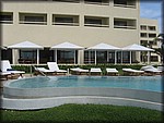 IMG_3671.jpg