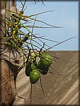 IMG_3676.jpg