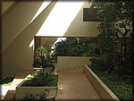 IMG_3677.jpg