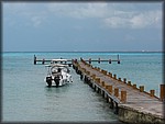 IMG_3687.jpg