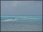 IMG_3694.jpg