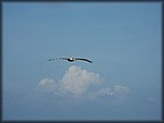 IMG_3695.jpg