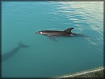 IMG_3711.jpg