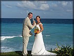 IMG_3781.jpg