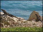 IMG_3943.jpg