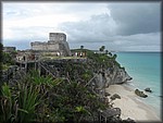 IMG_4009.jpg