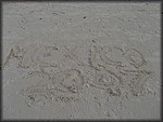 IMG_4043.jpg