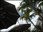IMG_4076.jpg
