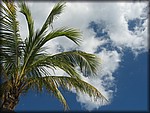 IMG_4086.jpg