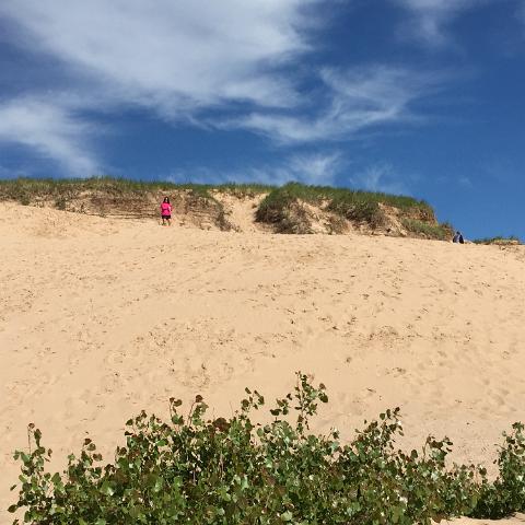 IMG 0487