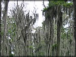 73-125_2537.JPG