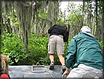 76-125_2541.JPG