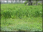 78-125_2544.JPG