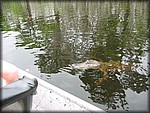 92-jazzFest 137.jpg