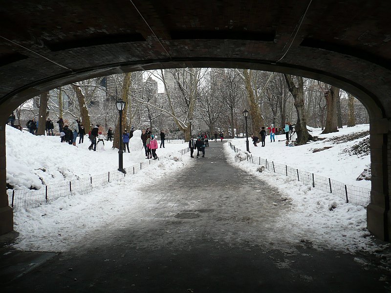 P1100006.JPG