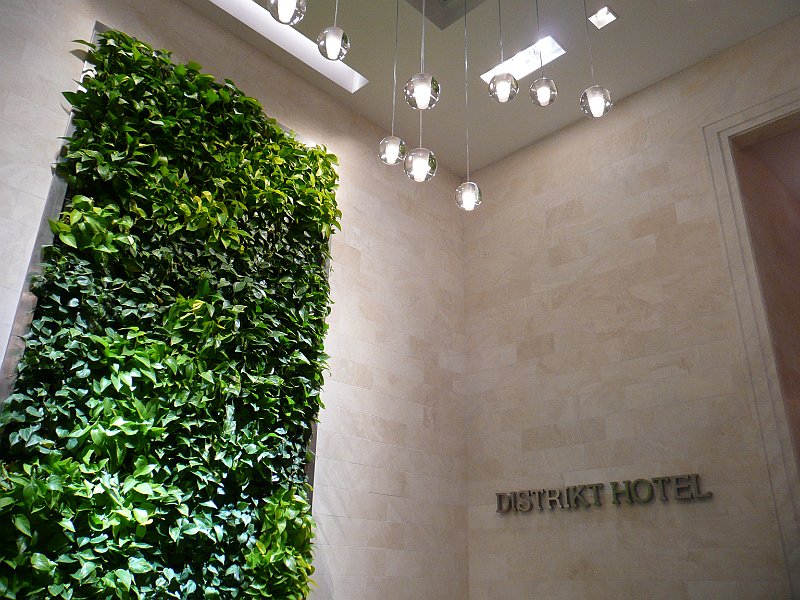 P1100074.JPG
