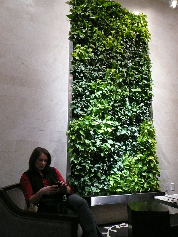 P1100076.JPG