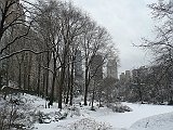 P1090961