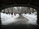 P1100006