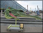 IMG_3113.jpg