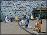 IMG_3115.jpg