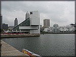IMG_3122.jpg