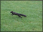 IMG_3158.jpg
