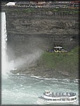 IMG_3250.jpg