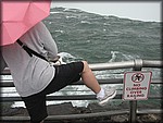 IMG_3263.jpg
