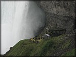 IMG_3322.jpg