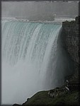 IMG_3325.jpg