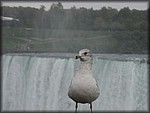 IMG_3329.jpg