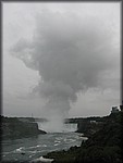 IMG_3387.jpg