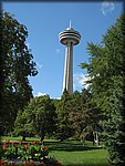 IMG_3505.jpg