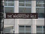 IMG_3558.jpg