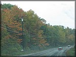 IMG_5291.jpg