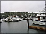 IMG_5295.jpg